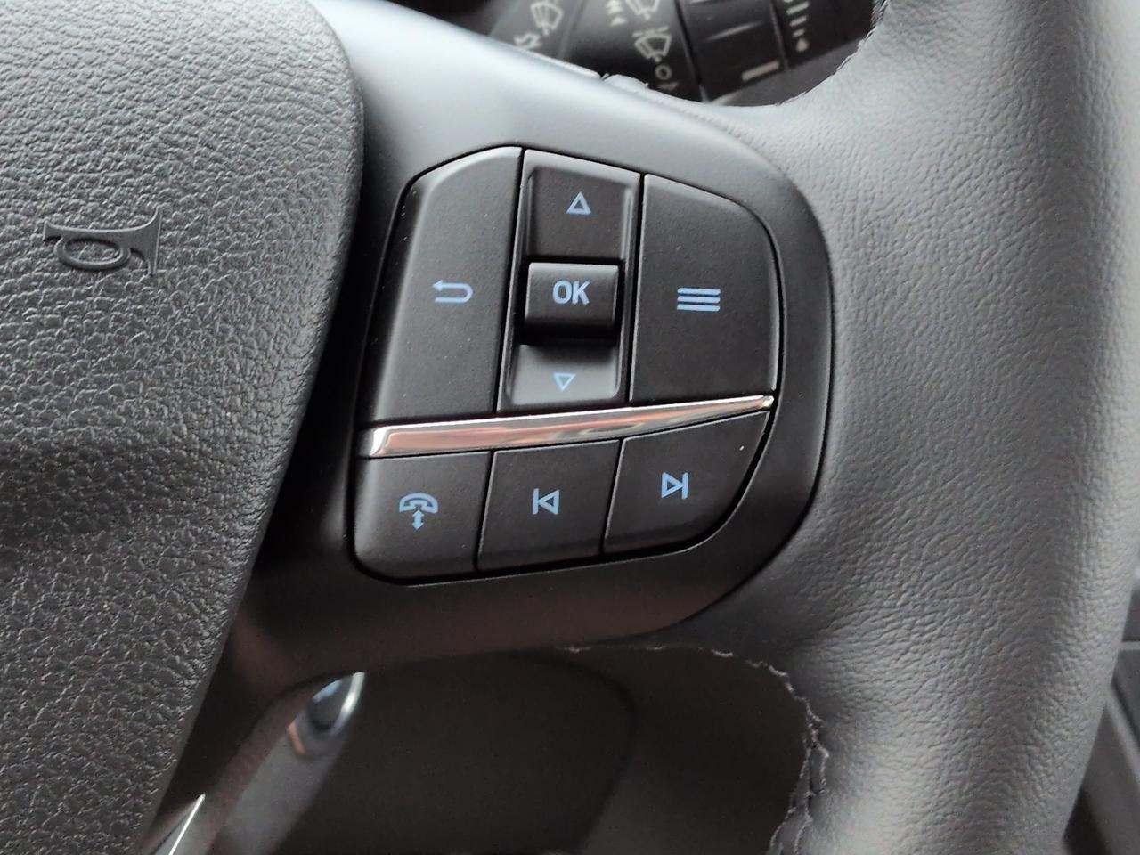 2026 Ford Transit Passenger Wagon XLT Winder GA