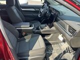 2026 GMC Terrain Elevation San Diego County CA