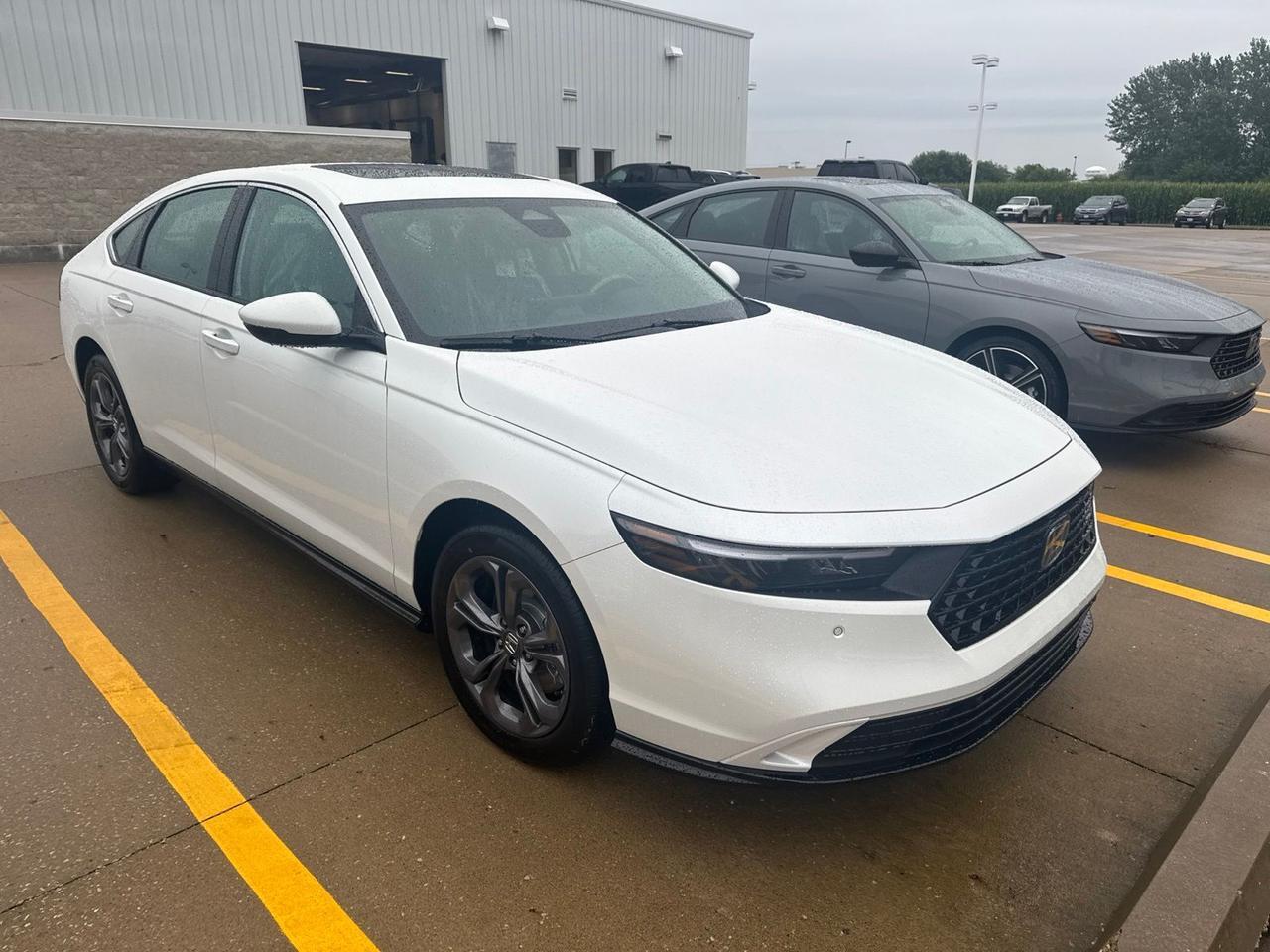 2026 Honda Accord Hybrid EX-L West Burlington IA