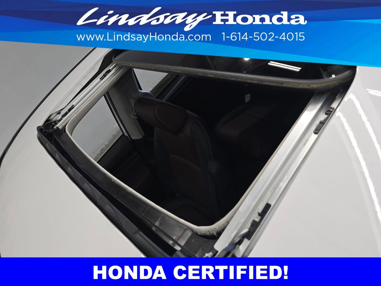 2026 Honda Odyssey Elite Columbus OH