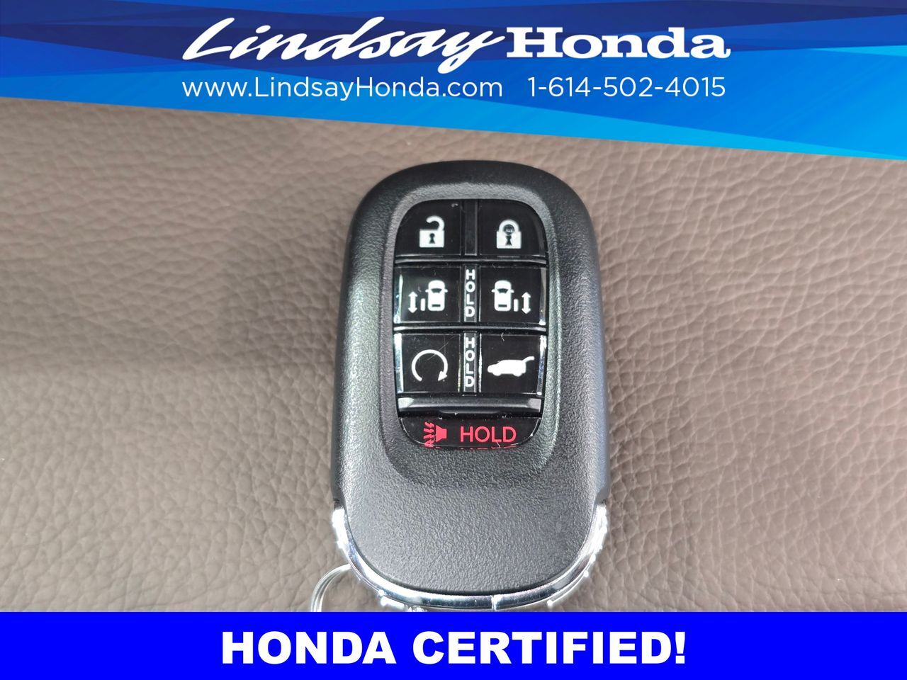 2026 Honda Odyssey Elite Columbus OH