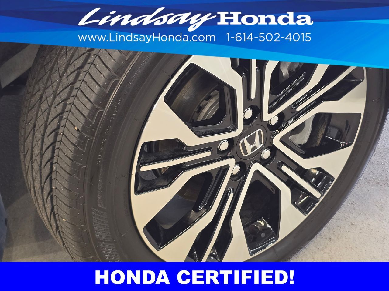 2026 Honda Odyssey Elite Columbus OH