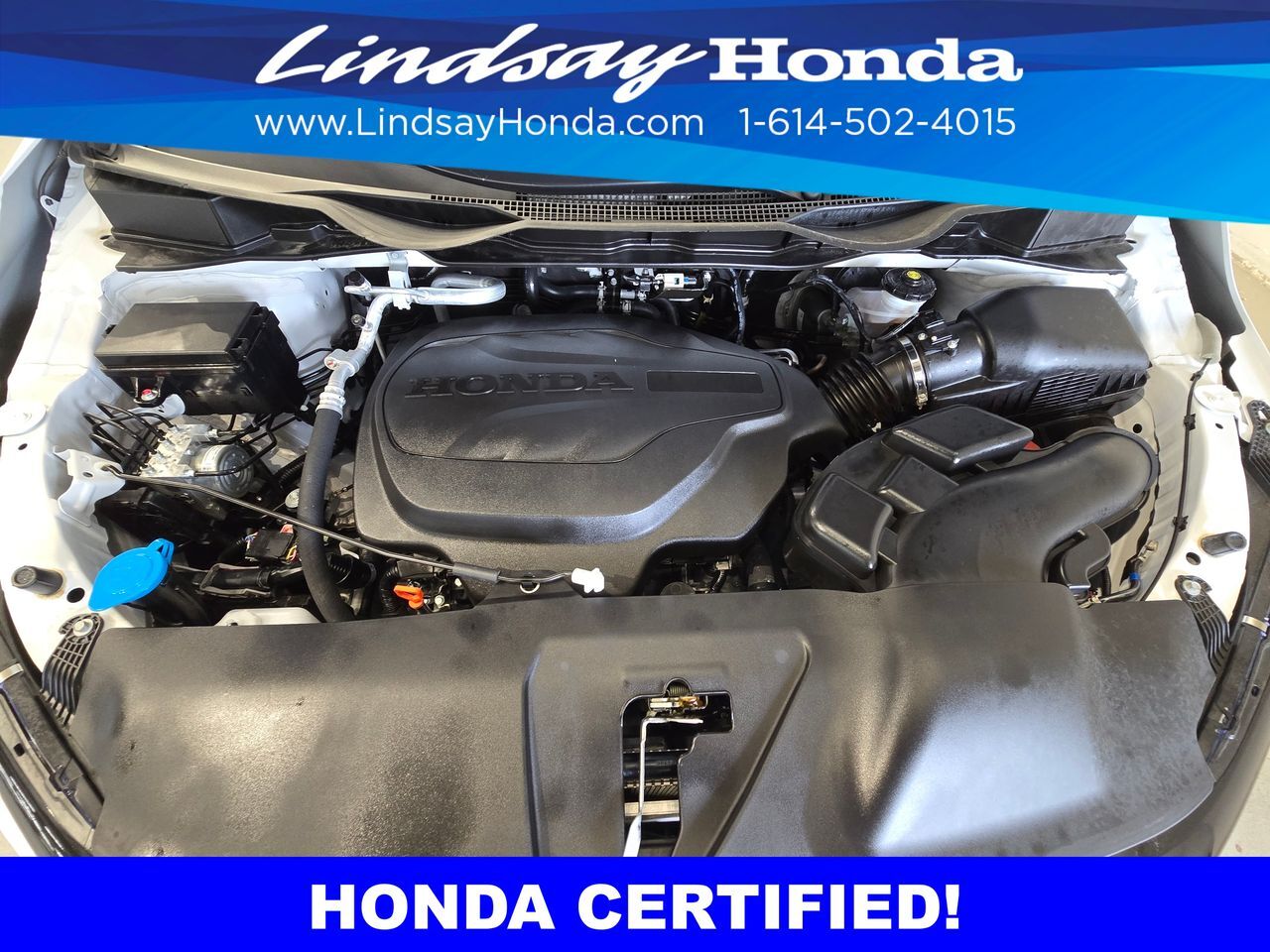 2026 Honda Odyssey Elite Columbus OH