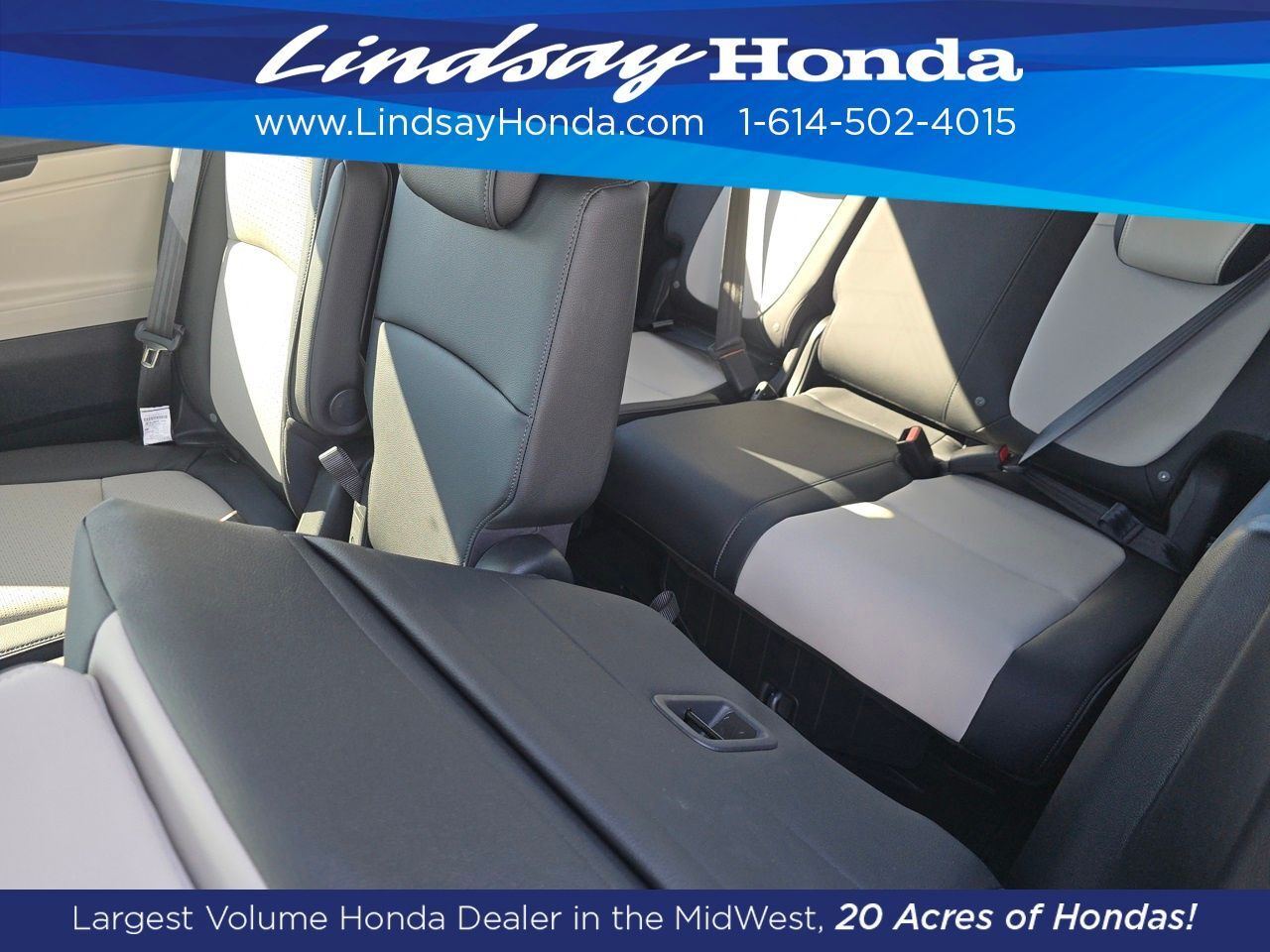 2026 Honda Odyssey Elite Columbus OH
