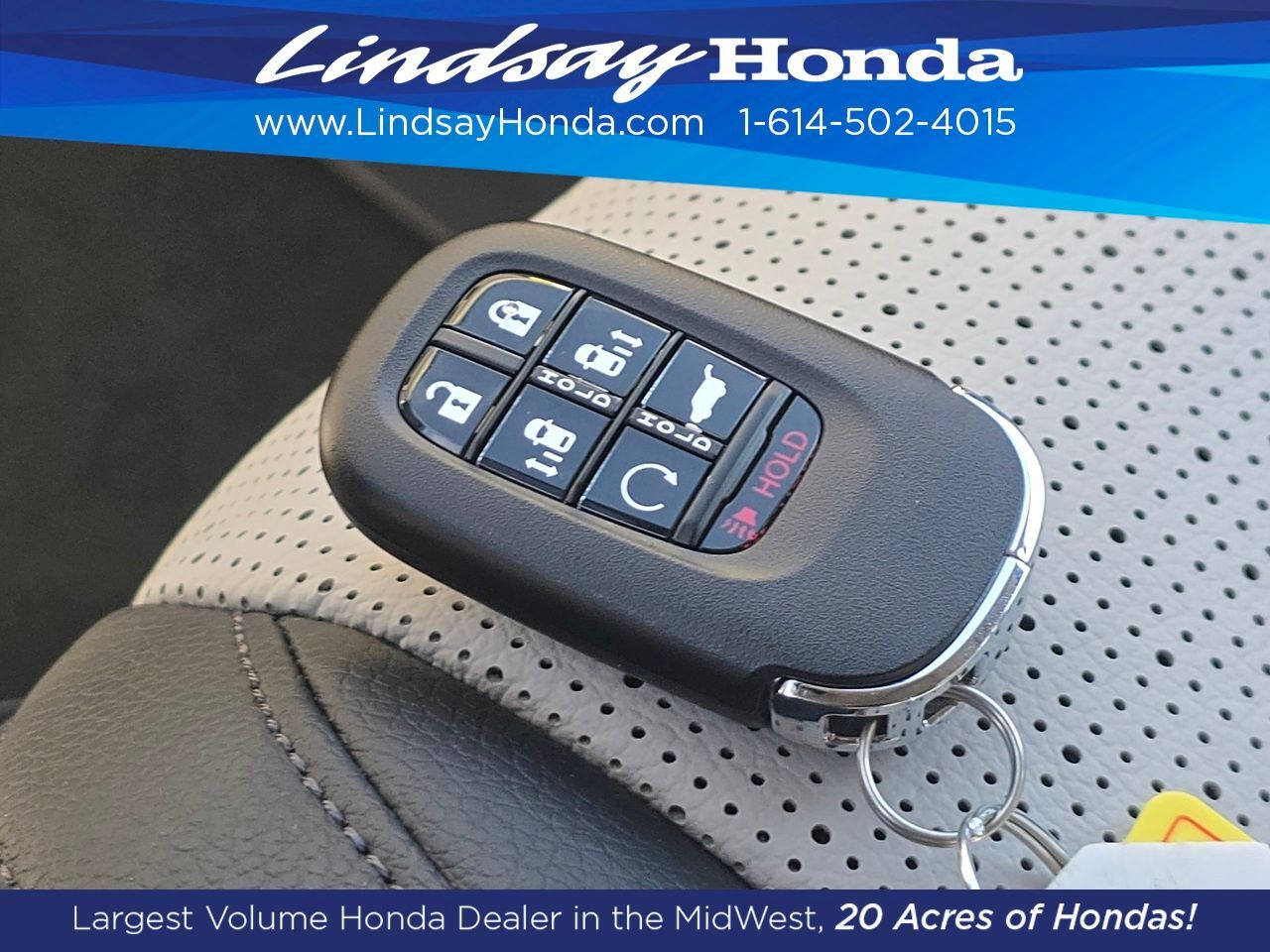 2026 Honda Odyssey Elite Columbus OH