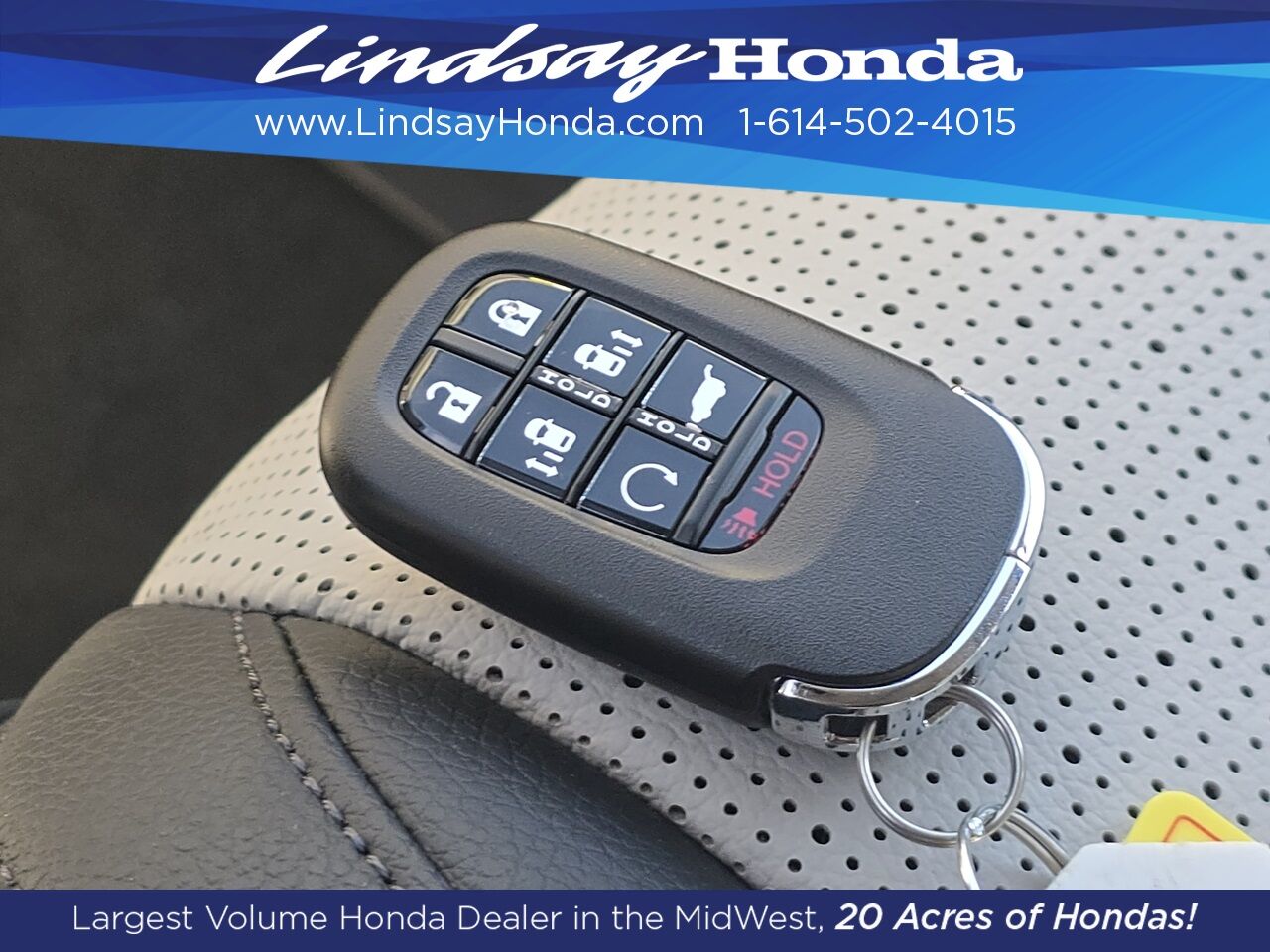 2026 Honda Odyssey Elite Columbus OH