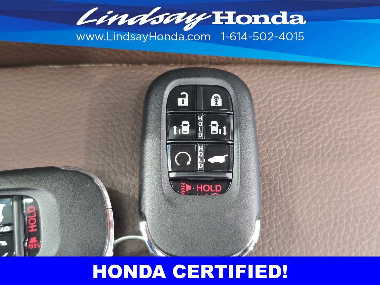 2026 Honda Odyssey Elite Columbus OH