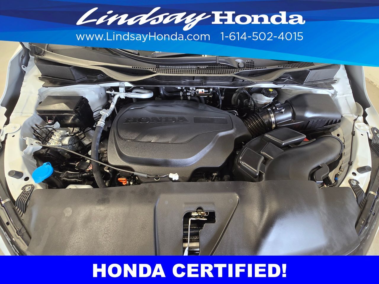 2026 Honda Odyssey Elite Columbus OH