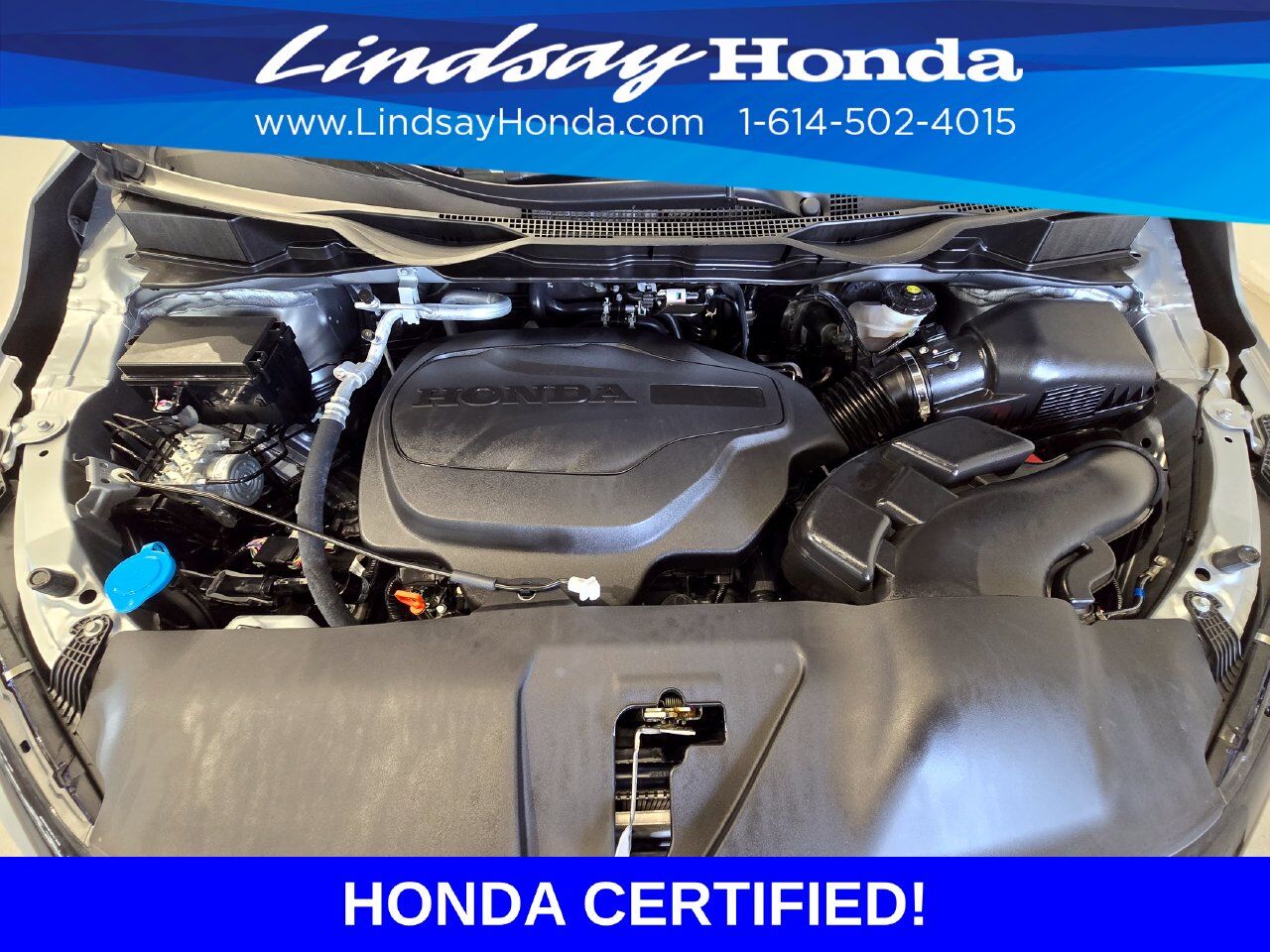 2026 Honda Odyssey Elite Columbus OH