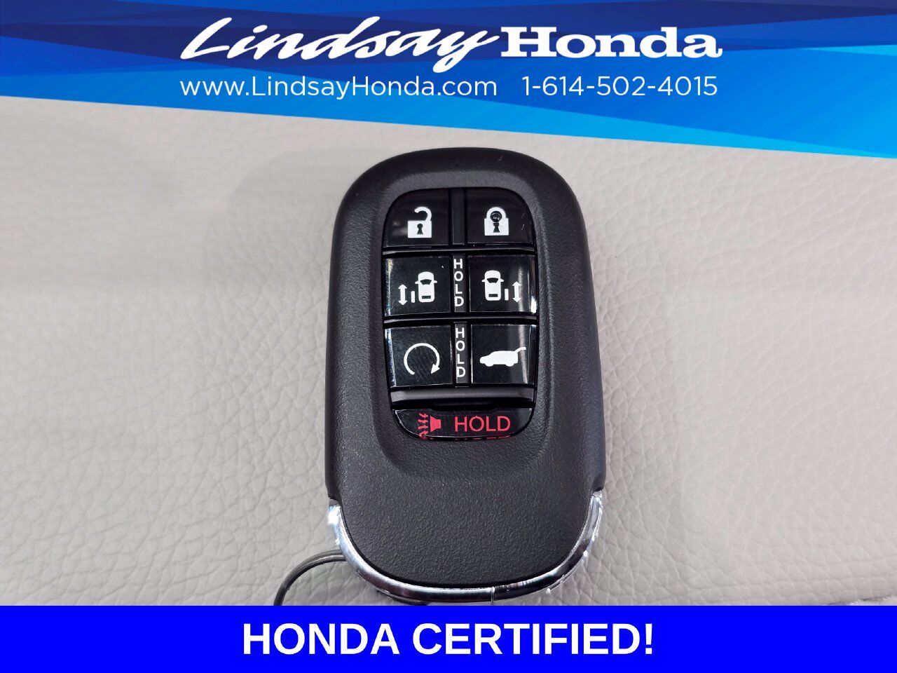 2026 Honda Odyssey Elite Columbus OH