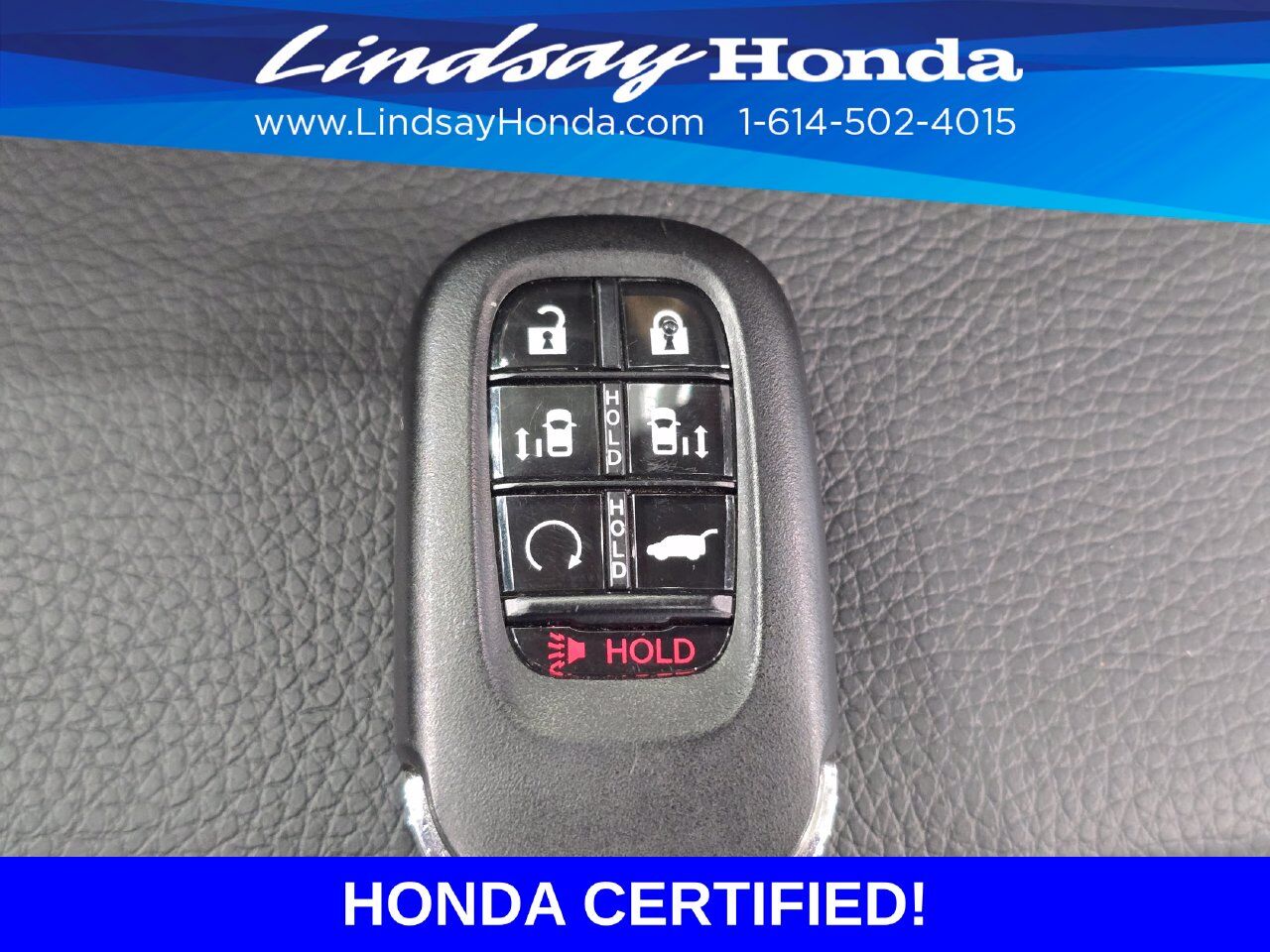 2026 Honda Odyssey Elite Columbus OH