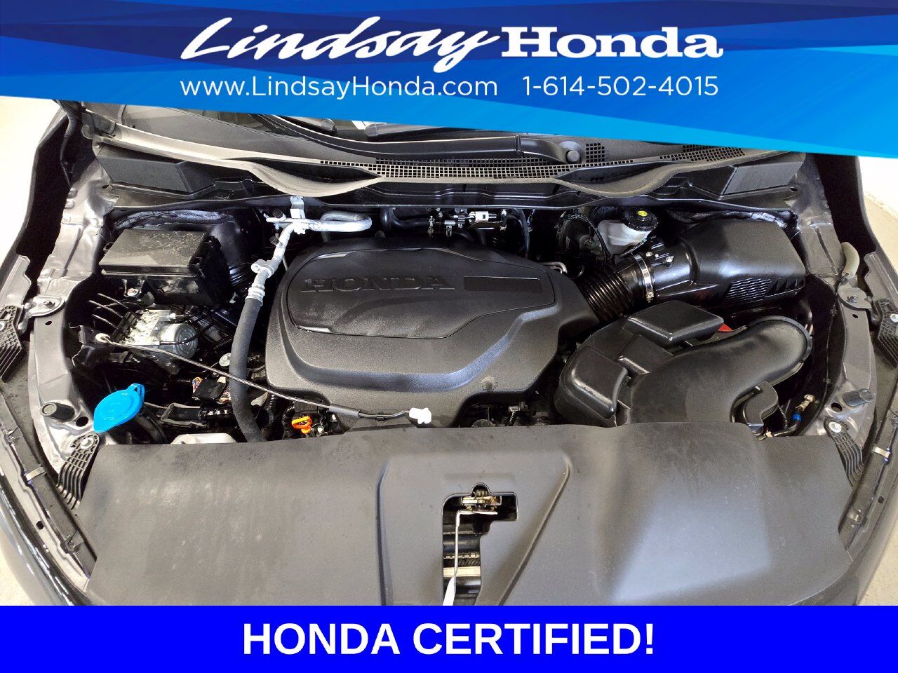 2026 Honda Odyssey Elite Columbus OH