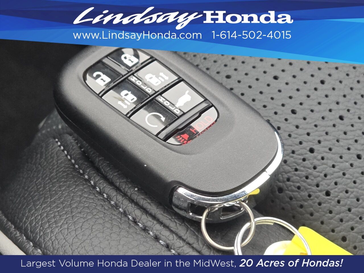 2026 Honda Odyssey Elite Columbus OH