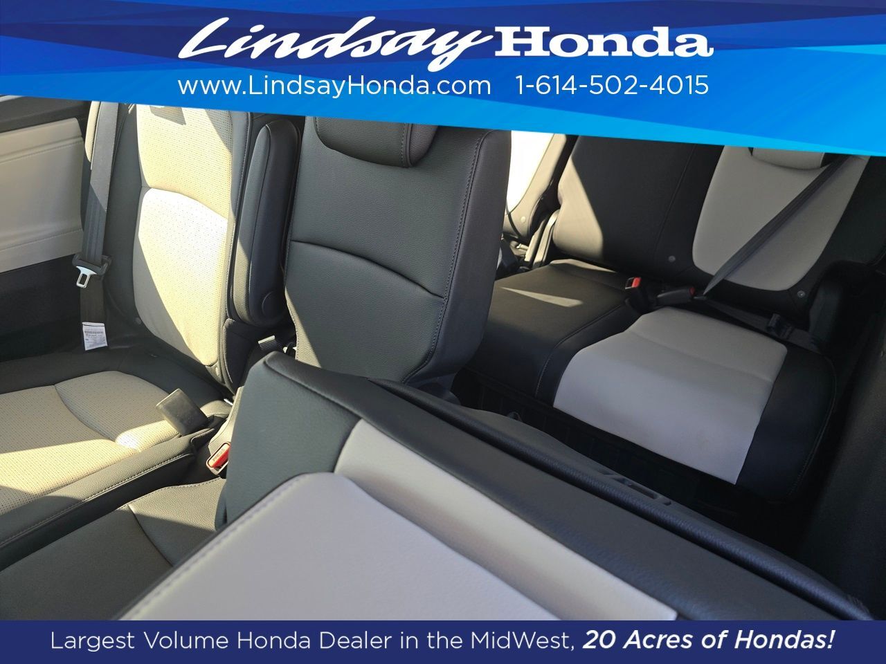2026 Honda Odyssey Elite Columbus OH