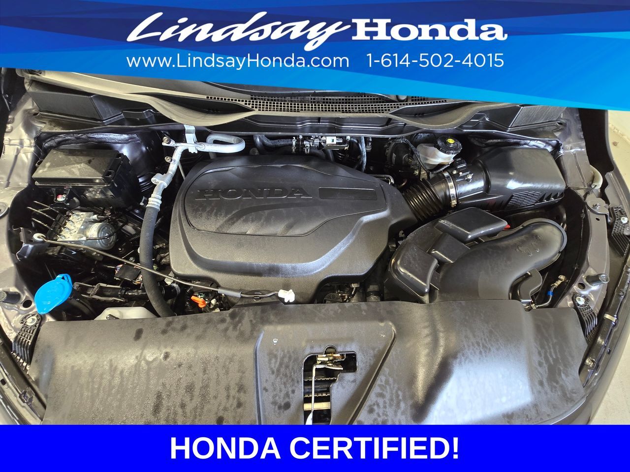 2026 Honda Odyssey Elite Columbus OH
