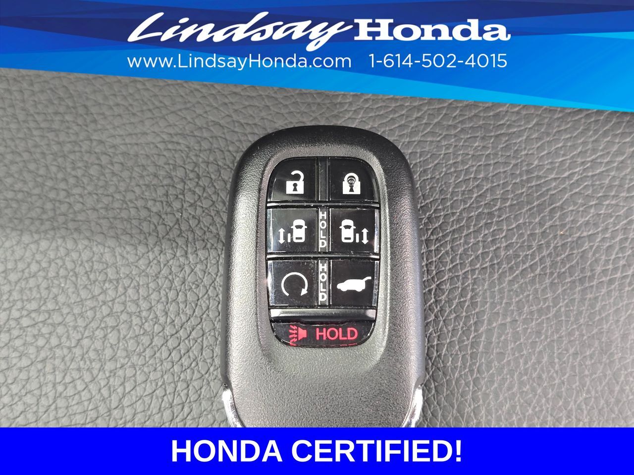 2026 Honda Odyssey Elite Columbus OH