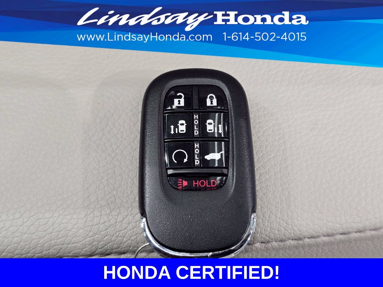 2026 Honda Odyssey Elite Columbus OH