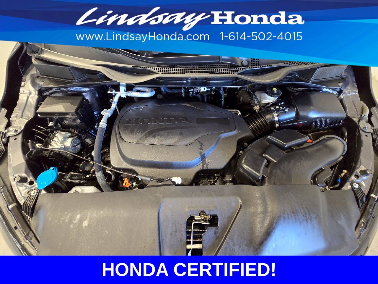 2026 Honda Odyssey Elite Columbus OH