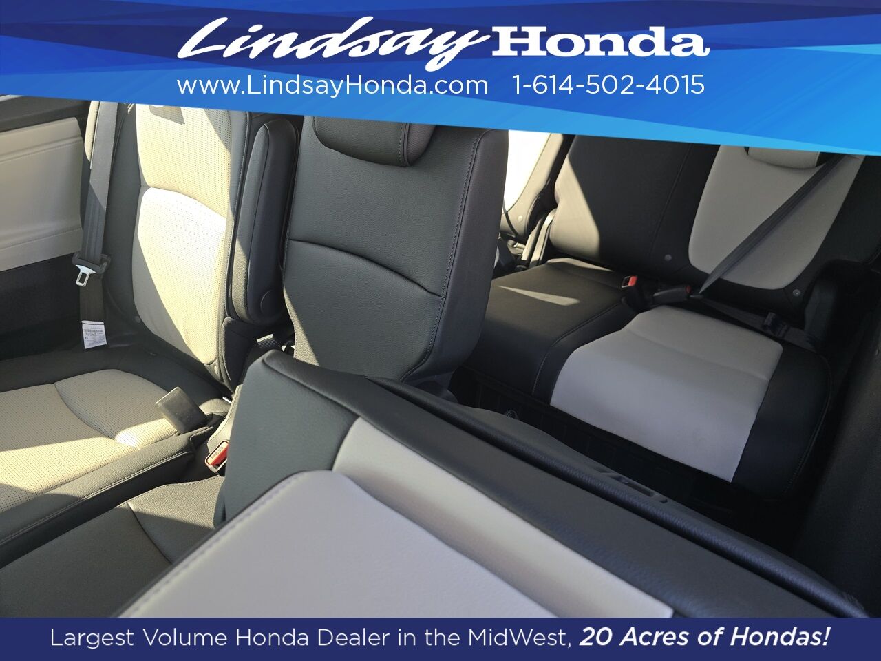 2026 Honda Odyssey Elite Columbus OH