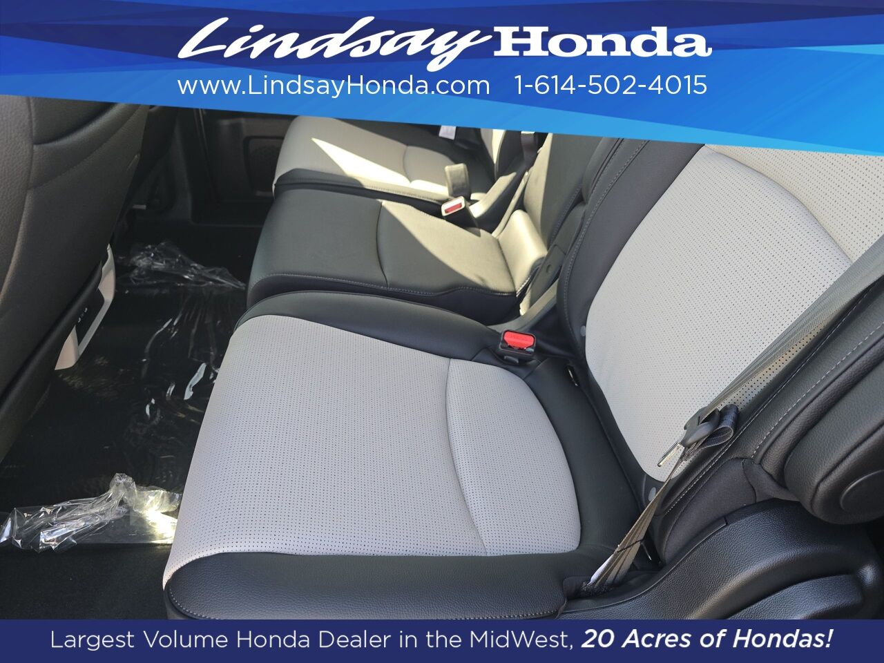 2026 Honda Odyssey Elite Columbus OH