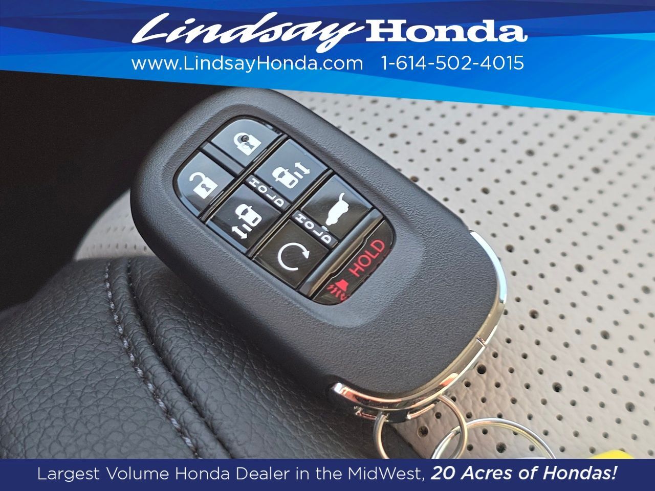 2026 Honda Odyssey Elite Columbus OH