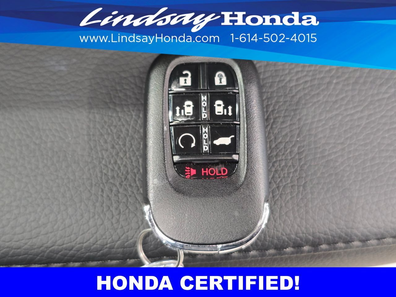 2026 Honda Odyssey Elite Columbus OH