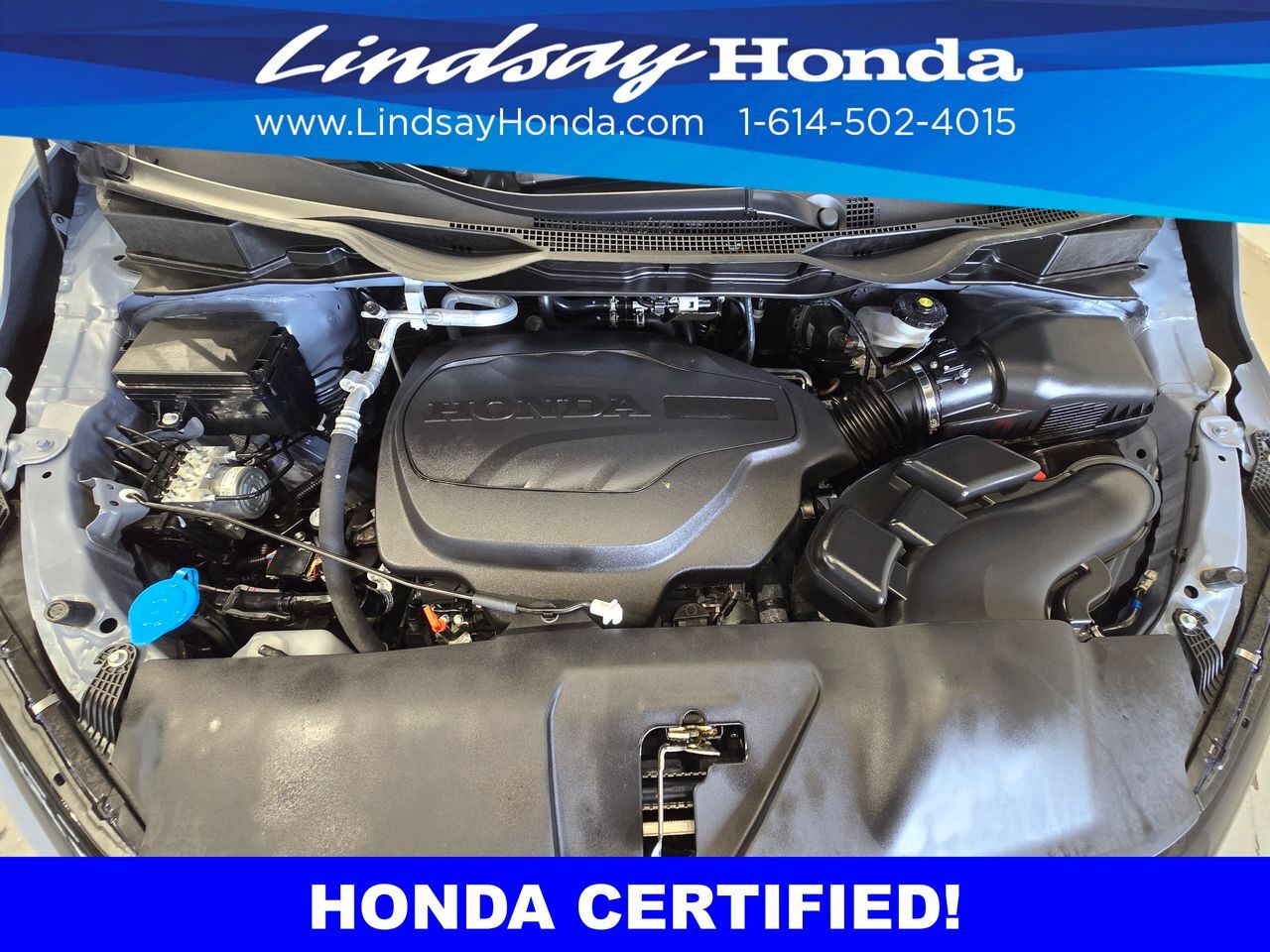 2026 Honda Odyssey Elite Columbus OH
