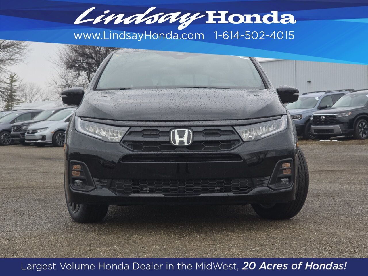 2026 Honda Odyssey Sport-L Columbus OH