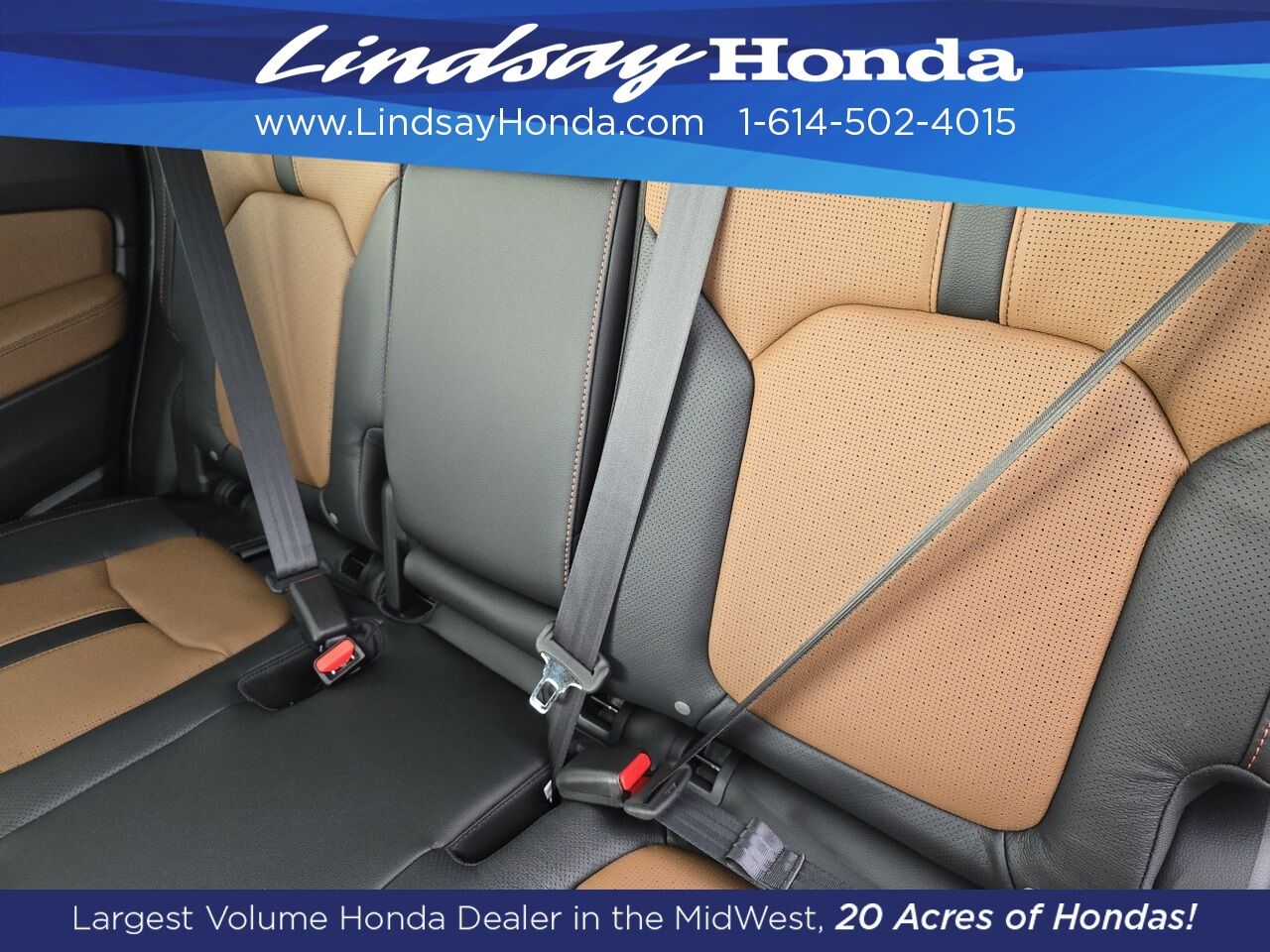 2026 Honda Passport TrailSport Elite Blackout Columbus OH