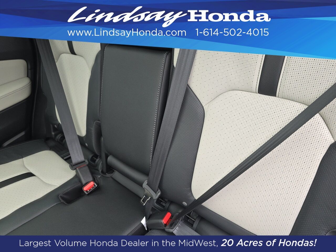 2026 Honda Passport TrailSport Elite Blackout Columbus OH