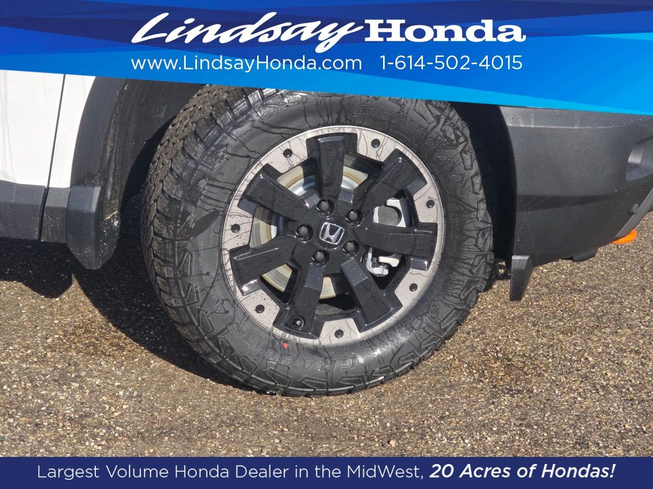 2026 Honda Passport TrailSport Elite Columbus OH