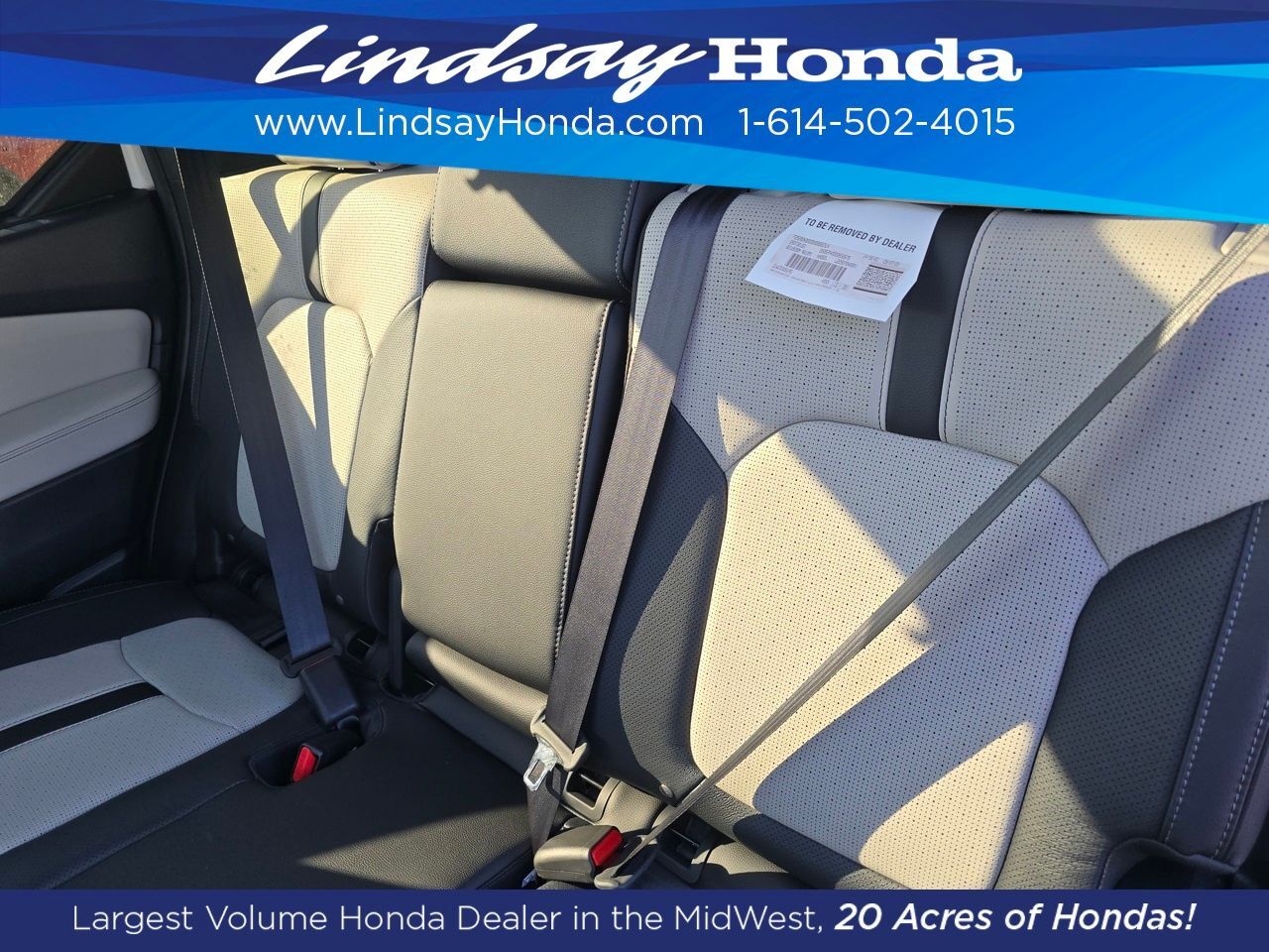 2026 Honda Passport TrailSport Elite Columbus OH