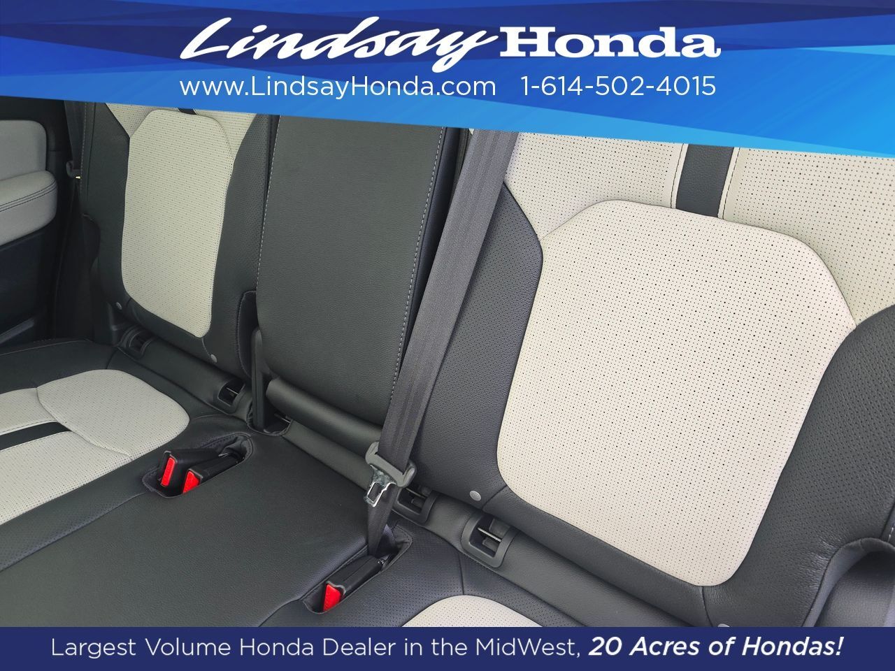2026 Honda Passport TrailSport Elite Columbus OH
