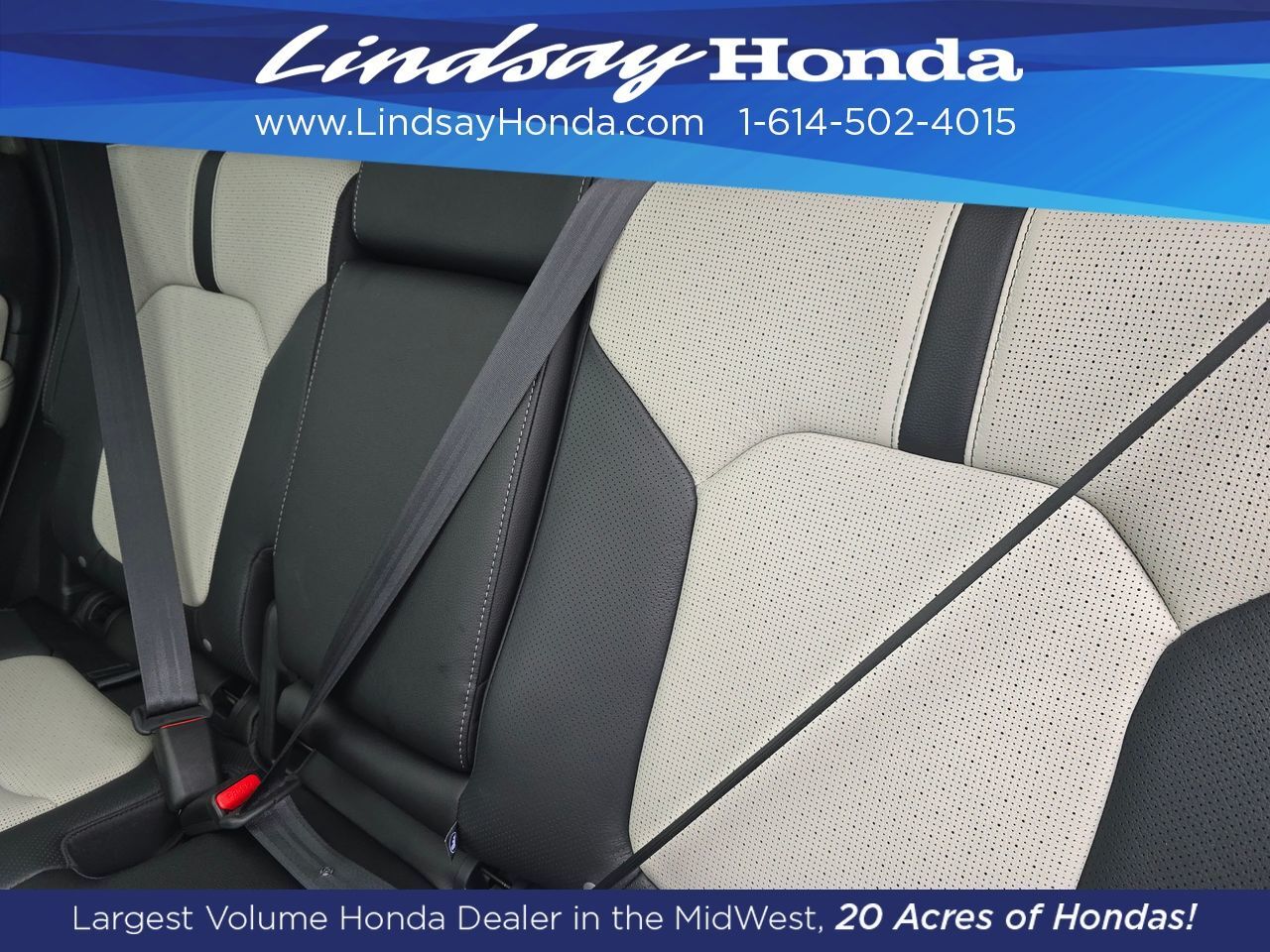 2026 Honda Passport TrailSport Elite Columbus OH