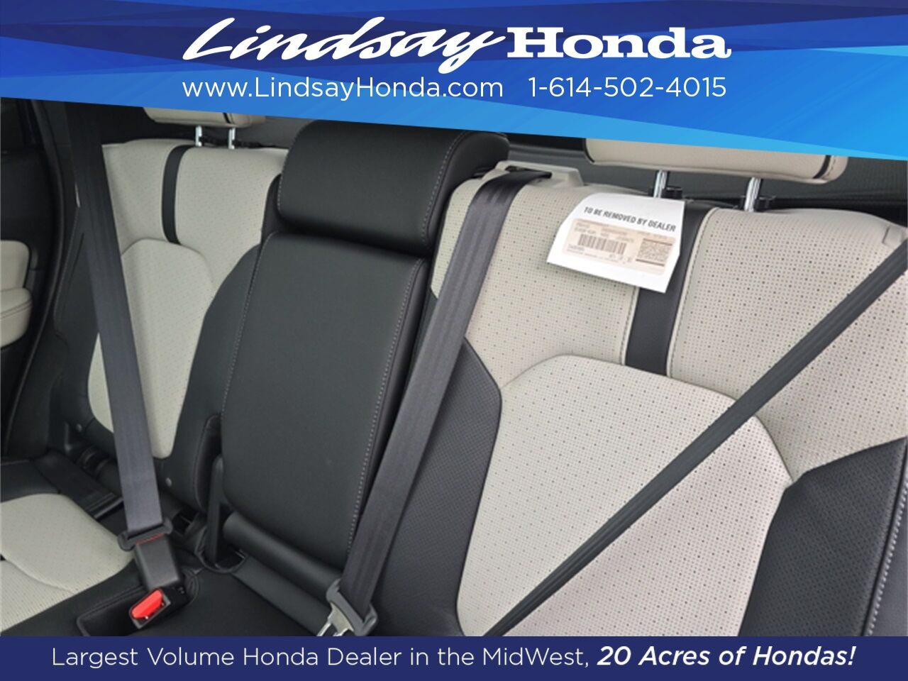 2026 Honda Passport TrailSport Elite Columbus OH