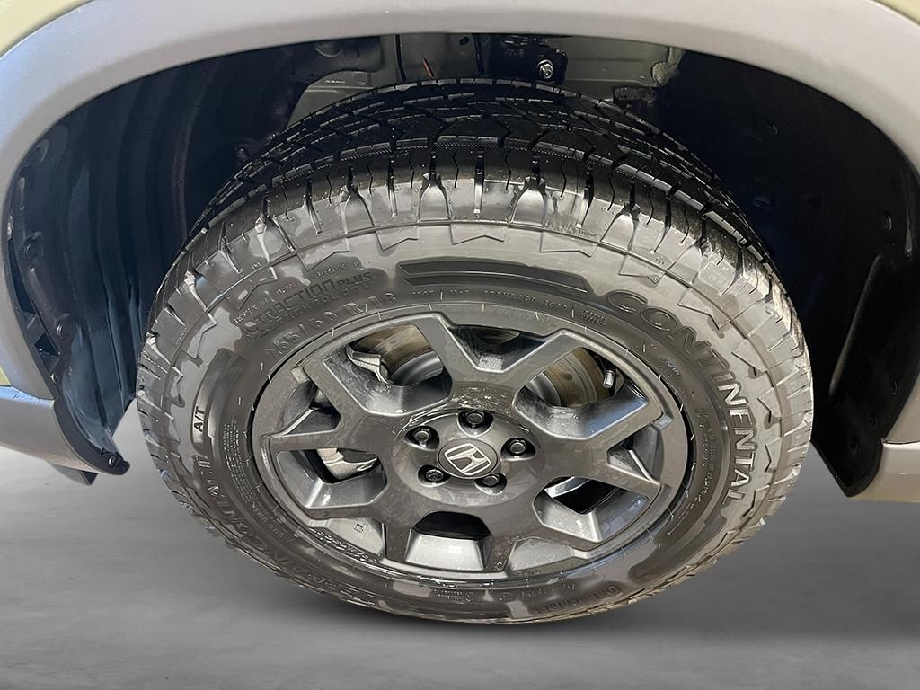 2026 Honda Pilot TrailSport Alexandria VA