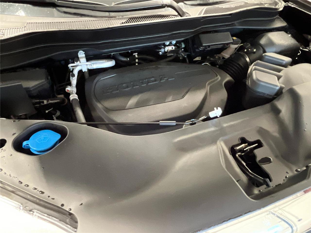 2026 Honda Ridgeline RTL Alexandria VA