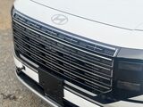 2026 Hyundai Palisade CALLIGRAPHY  Vaitele Tuamasaga