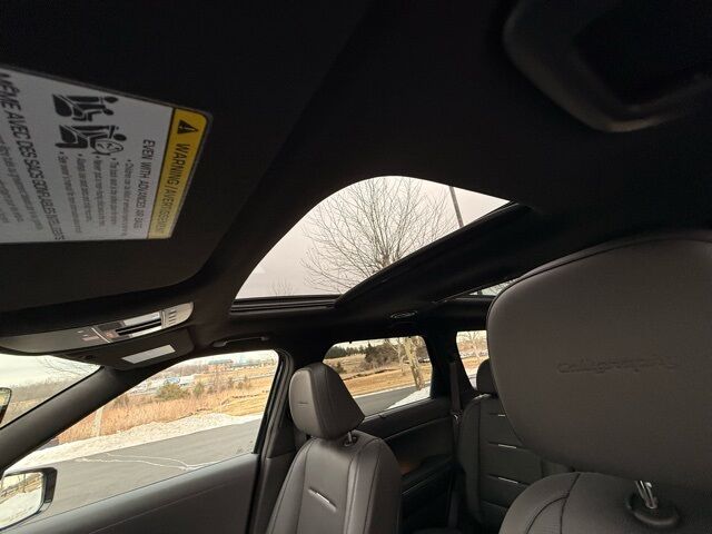 2026 Hyundai Palisade Hybrid Calligraphy San Clemente CA