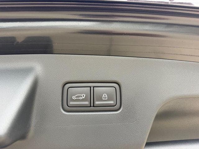 2026 Hyundai Palisade Hybrid Calligraphy Cape Girardeau MO