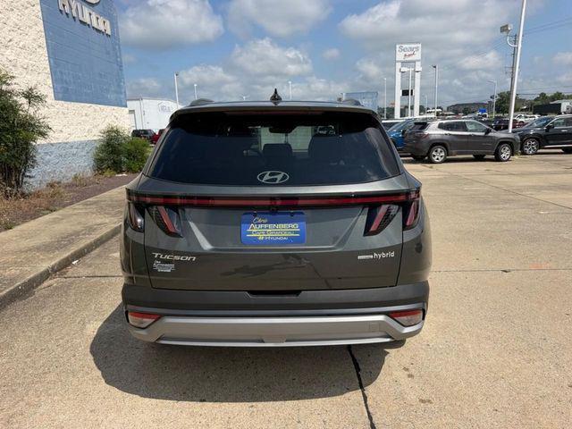 2026 Hyundai Tucson Hybrid SEL Convenience Cape Girardeau MO