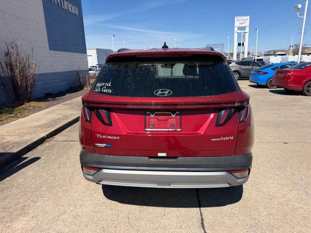 2026 Hyundai Tucson Hybrid SEL Convenience Cape Girardeau MO