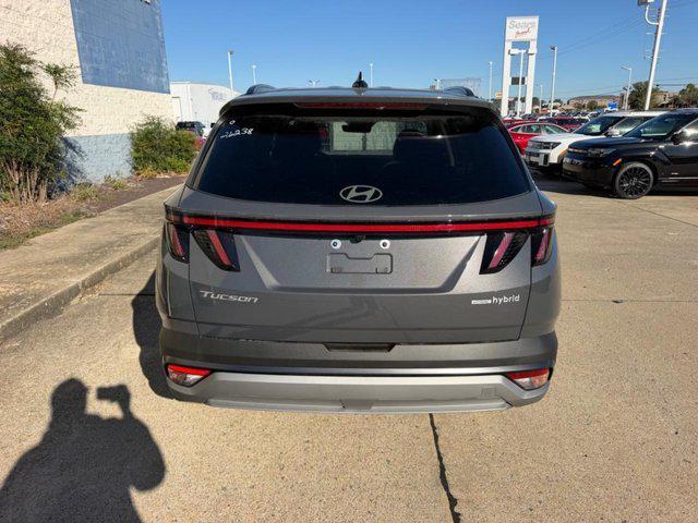 2026 Hyundai Tucson Hybrid SEL Convenience Cape Girardeau MO