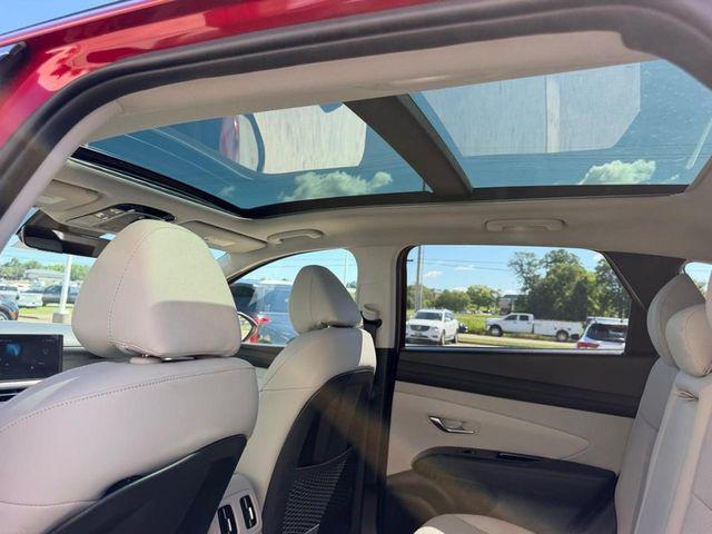 2026 Hyundai Tucson Limited AWD Cape Girardeau MO