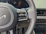2026 Kia Carnival EX Oshkosh WI