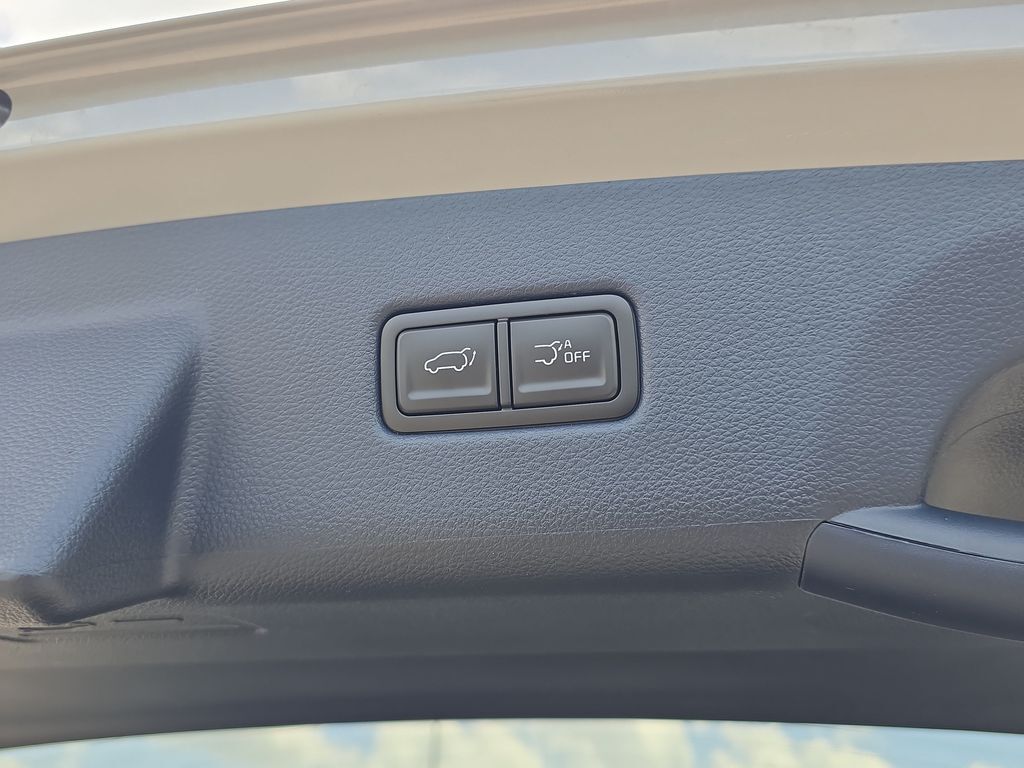2026 Kia Carnival EX San Clemente CA