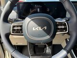 2026 Kia Carnival Hybrid EX Oshkosh WI