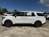 2026 Kia Carnival Hybrid EX Oshkosh WI