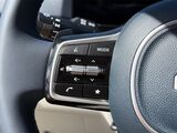 2026 Kia Carnival Hybrid EX Oshkosh WI