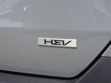 2026 Kia Carnival Hybrid EX Oshkosh WI
